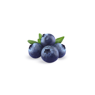 visual_ingredients_blueberry.png