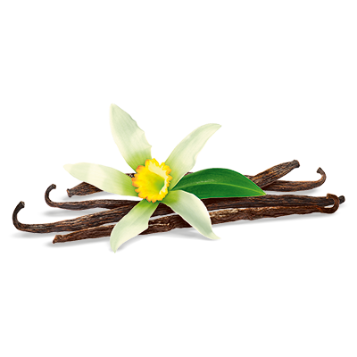 visual_ingredients_vanilla.png