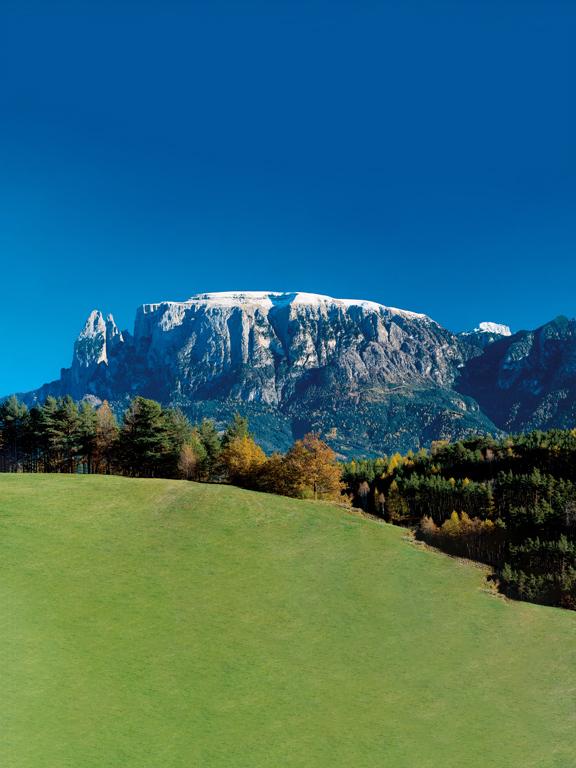 banner-scroll_schlern_vertical_576x768.jpg