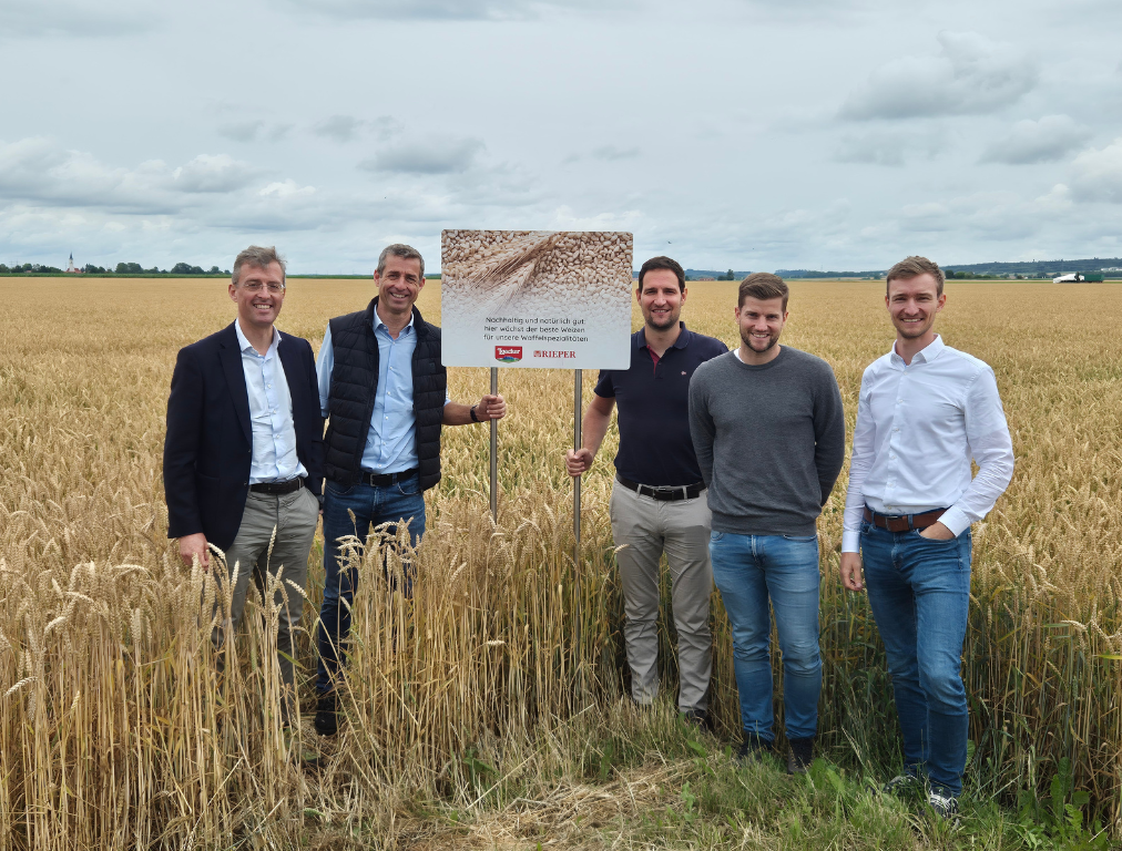 Wheat field with Rieper and Loacker teams