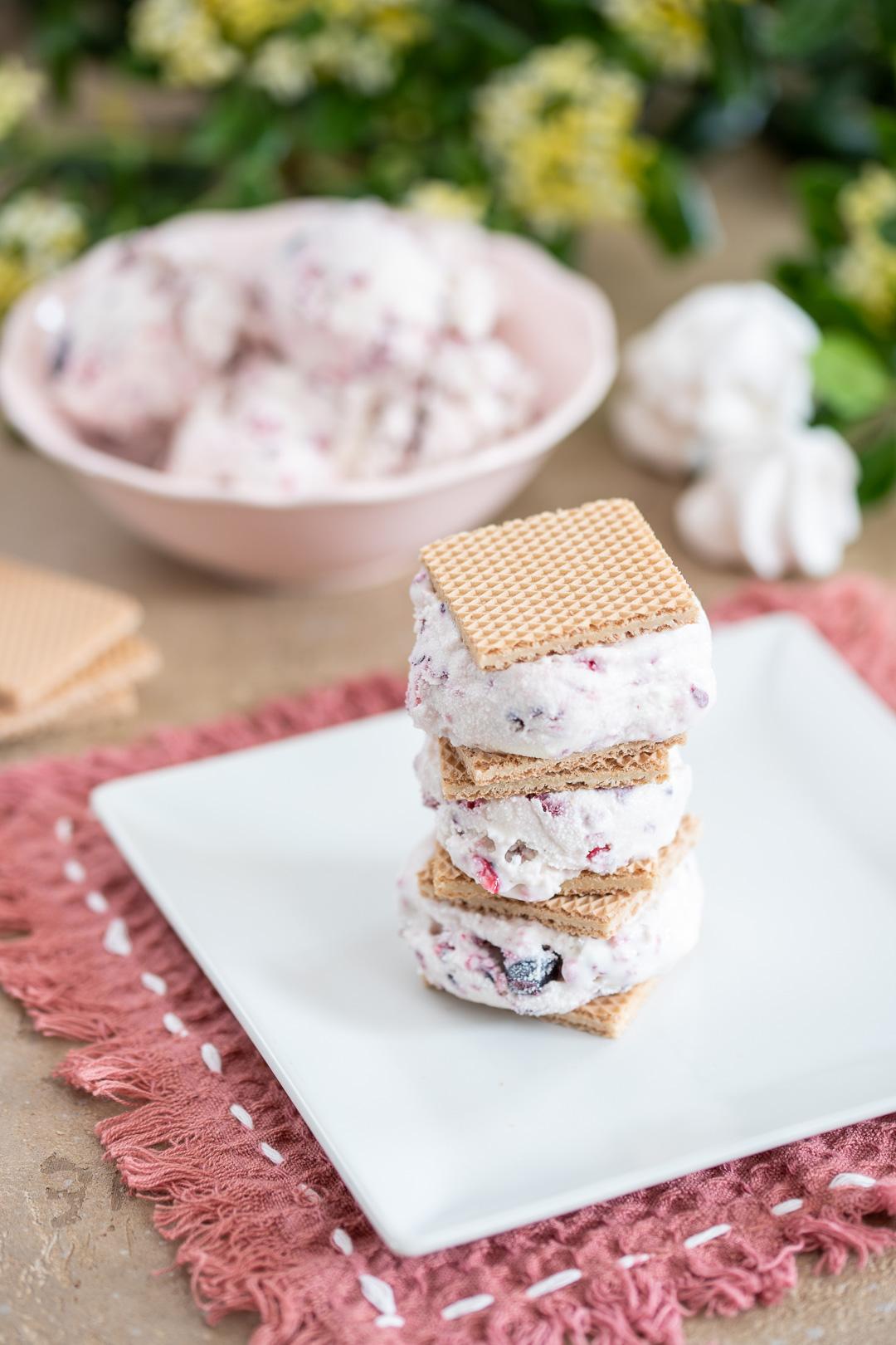 PICTURES-berry-meringue-ice-cream-wafer-dessert-001