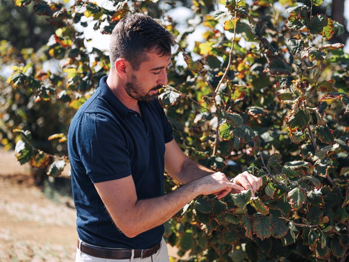Ethical_Sourcing_Banner_Launch_hazelnut_facilities